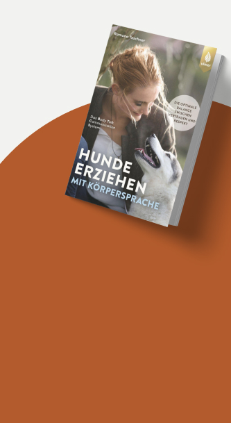 Das Buch "Hunde erziehen mit Körpersprache"auf amazon.de ansehen.